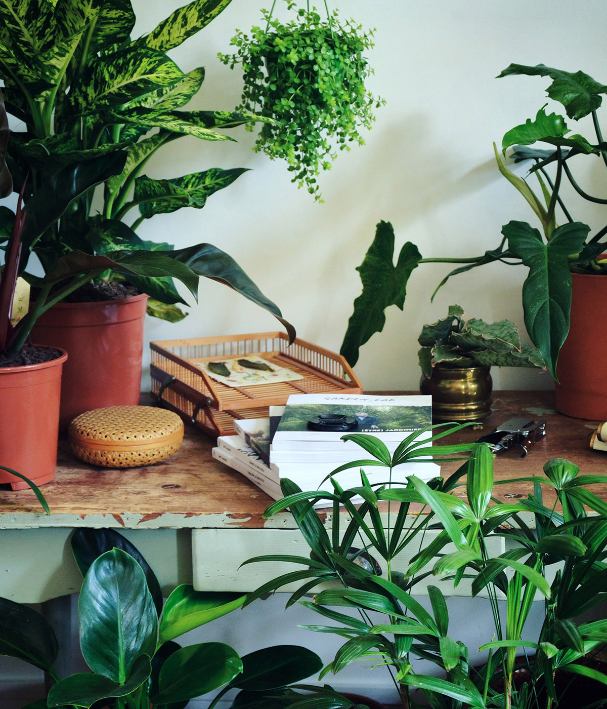 Atelier-Jardin  • Créatrice d'ambiances végétales & Garden Designer • 